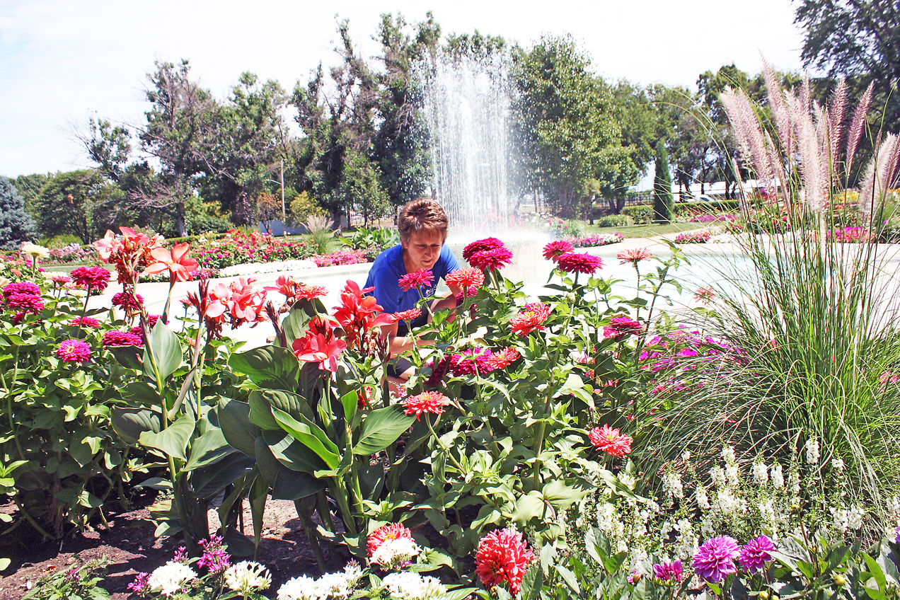 Bursting with Blooms